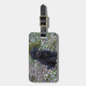 Zwarte Engelse Springer Spaniel Bagagelabel (Voorkant verticaal)