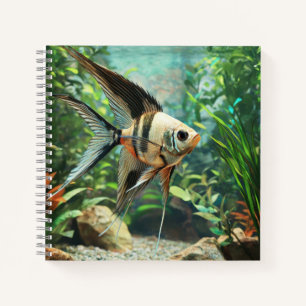 Zwarte engelvis zwemt in zoetwateraquarium notitieboek