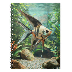 Zwarte engelvis zwemt in zoetwateraquarium notitieboek
