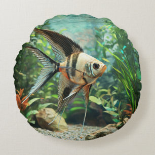 Zwarte engelvis zwemt in zoetwateraquarium rond kussen