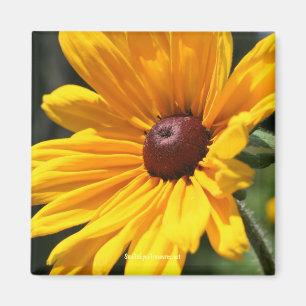 Zwarte Eyed Susan Flower Photography Magnet