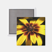 Zwarte Eyed Susan Magnet (Voorkant / Achterkant)