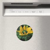 Zwarte Eyed Susan op Groene Bloem Magneet (Insitu (Vaatwasser))