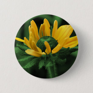 Zwarte Eyed Susan op Groene Bloem Ronde Button 5,7 Cm