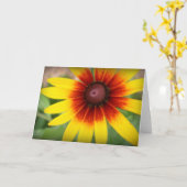 Zwarte Eyed Susan - Spatie binnen Kaart (Gele Bloem)