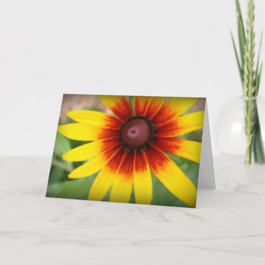 Zwarte Eyed Susan - Spatie binnen Kaart (Voorkant)