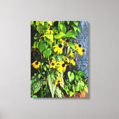 Zwarte Eyed Susans door stenen muur Canvas Afdruk (Voorkant)