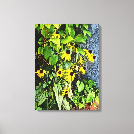 Zwarte Eyed Susans door stenen muur Canvas Afdruk (Voorkant)