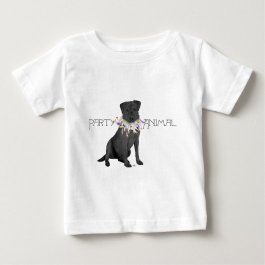 Zwarte feestbeest Labrador Retriever (Voorkant)