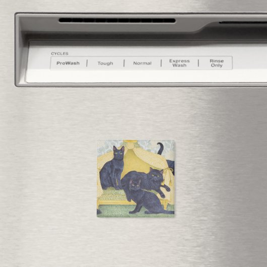 Zwarte fluwelen magneet (Insitu (Vaatwasser))