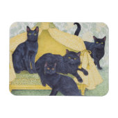 Zwarte fluwelen magneet (Horizontaal)