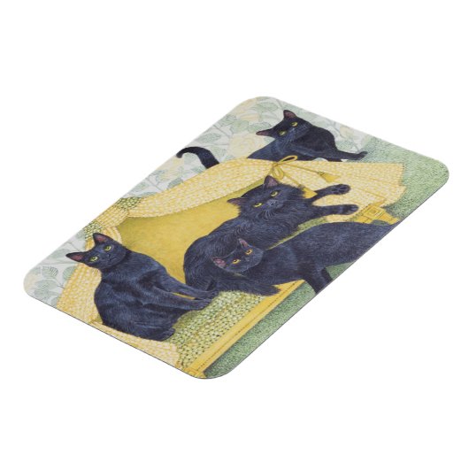 Zwarte fluwelen magneet (Linkerzijde)