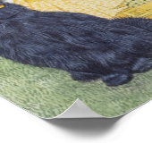 Zwarte fluwelen poster (Hoek)