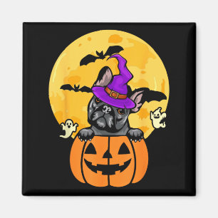 Zwarte Franse Bulldog Heks Hond Liefhebber Hallowe Magneet
