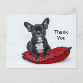 Zwarte Franse Bulldog op kussen Foto Bedankt Briefkaart