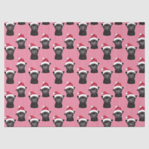 Zwarte Franse Bulldog Roze Kerst Weefsel Papier