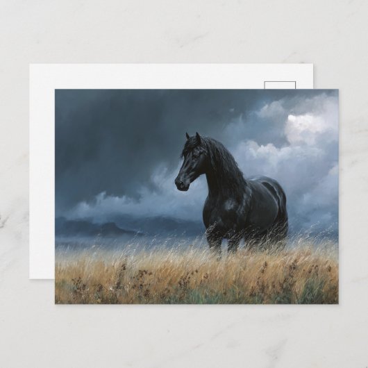 Zwarte Friese hengst dramatisch landschap Briefkaart (Voorkant / Achterkant)