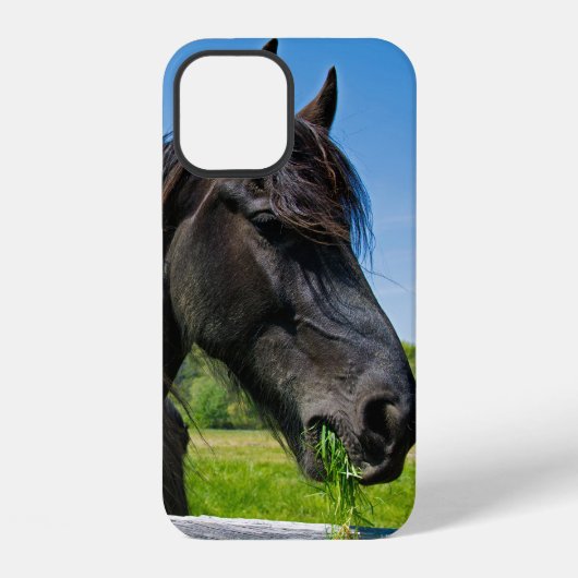Zwarte Friese paard iPhone Hoesje (Achterkant)