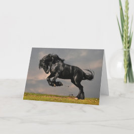 Zwarte Friesian Horse die gratis rijdt Kaart