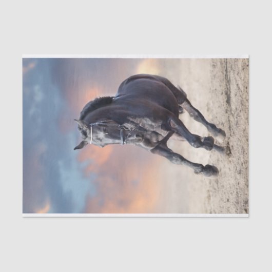 Zwarte friesische paardengaloppers tissuepapier (Voorkant)