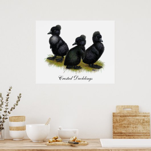 Zwarte gebluste slangen poster (Keuken)