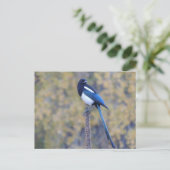 Zwarte Gefactureerde Ekster Briefkaart (Staand voorkant)