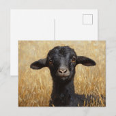 Zwarte Geit Tarwe Veld Schilderij Briefkaart (Voorkant / Achterkant)