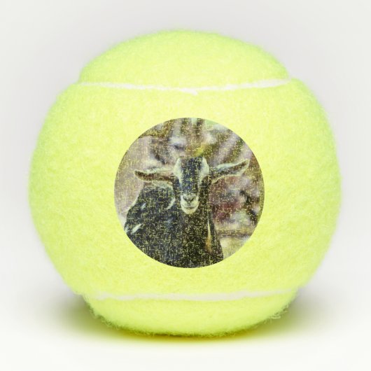 Zwarte geiten tennisballen (Voorkant)