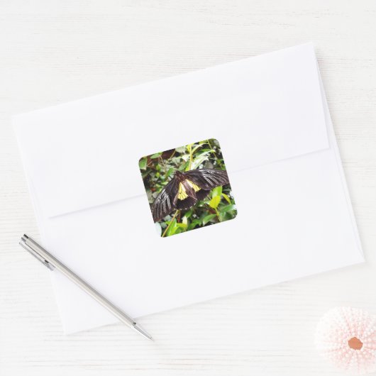  zwarte gele vlinderfoto vierkante sticker (Envelop)