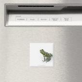 Zwarte gepotte groene giftige kunstkikker magneet (Insitu (Vaatwasser))