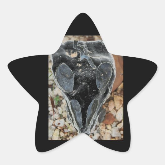 zwarte geschilde schedel ster sticker (Voorkant)