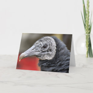 Zwarte gier foto kaart