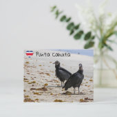 Zwarte gieren in Punta Cahuita - Costa Rica Briefkaart (Staand voorkant)
