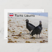 Zwarte gieren in Punta Cahuita - Costa Rica Briefkaart (Voorkant / Achterkant)