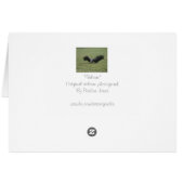 zwarte giervogel met prooifotokaart (Achterkant Horizontaal)