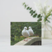 Zwarte Golls Briefkaart (Staand voorkant)