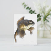 Zwarte goudvis (Carassius auratus) 2 Briefkaart (Staand voorkant)