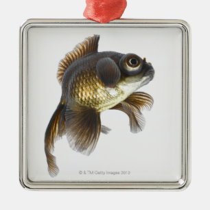 Zwarte goudvis (Carassius auratus) 2 Metalen Ornament