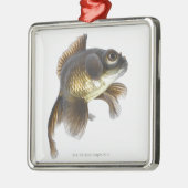 Zwarte goudvis (Carassius auratus) 2 Metalen Ornament (Links)