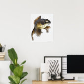 Zwarte goudvis (Carassius auratus) 2 Poster (Thuiskantoor)