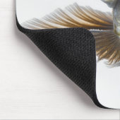 Zwarte goudvis (Carassius auratus) Muismat (Hoek)