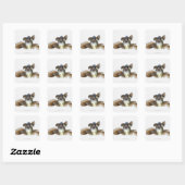 Zwarte goudvis (Carassius auratus) Vierkante Sticker (Vel)