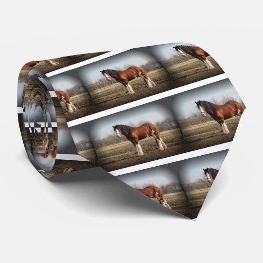 zwarte grens clydesdale stropdas (Opgerold)