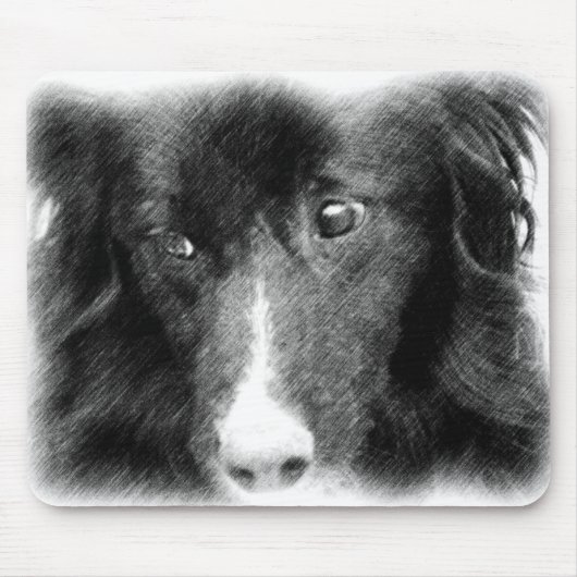 Zwarte grens Collie Animal Art Muismat (Voorkant)