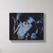 Zwarte grens Collie Dog Face Canvas Afdruk (Voorkant)