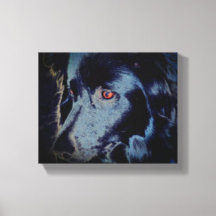 Zwarte grens Collie Dog Face Canvas Afdruk