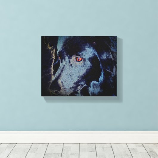Zwarte grens Collie Dog Face Canvas Afdruk (Insitu (Houten vloer))