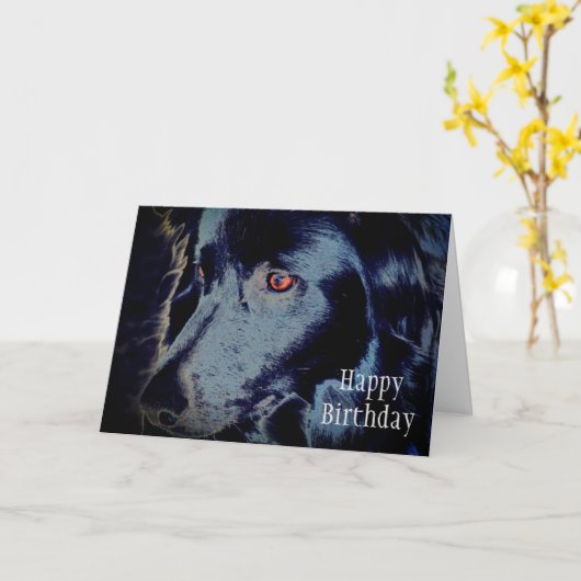 Zwarte grens Collie Face Animal Art Birthday Kaart (Gele Bloem)