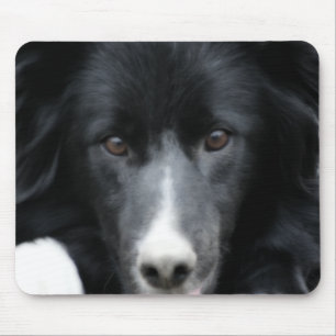 Zwarte grens Collie Face Dog Muismat
