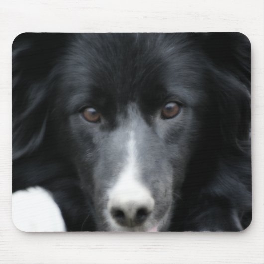 Zwarte grens Collie Face Dog Muismat (Voorkant)